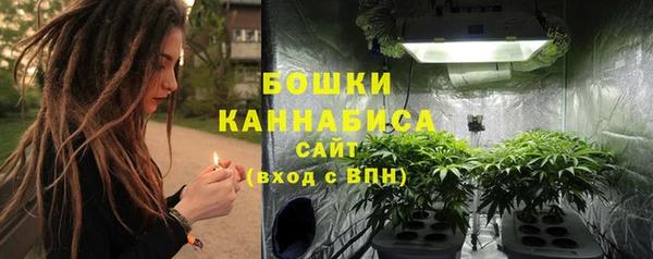 стафф Дмитров