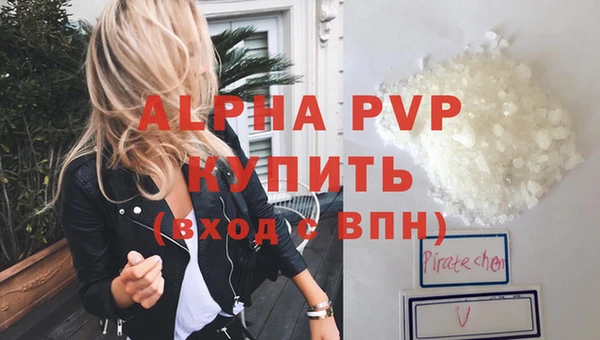 стафф Дмитров