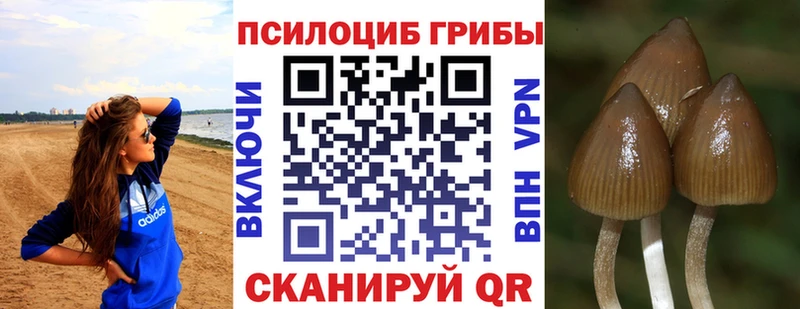 что такое   Шарыпово  Псилоцибиновые грибы ЛСД 