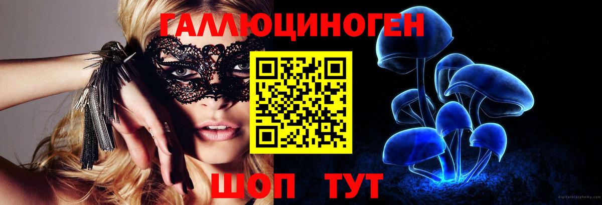 Псилоцибиновые грибы Cubensis  Вход с VPN  Шарыпово 